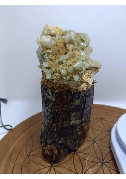 Özel Tasarım Ağaç Görünümlü Kaideli Küme Kuvars fırsatları