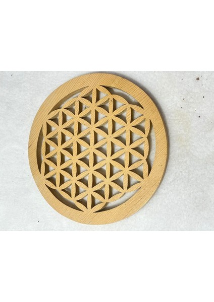 Sedir Ağacı Özel Kesim Yaşam Çiçeği