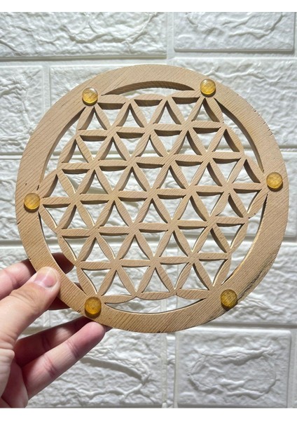 Sedir Ağacı Özel Kesim Yaşam Çiçeği fiyatları