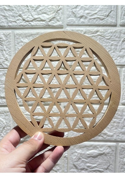 Sedir Ağacı Özel Kesim Yaşam Çiçeği modelleri