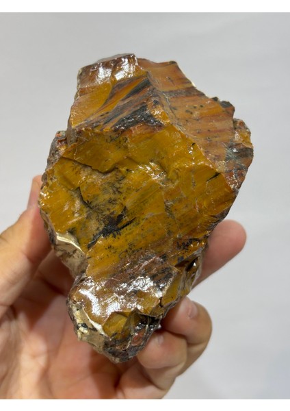 Jasper Doğaltaş Içsel Güç modelleri