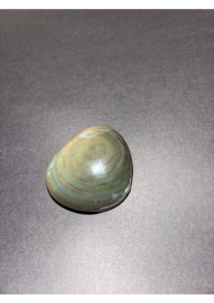 Göz Obsidyen Yeşil S Boy