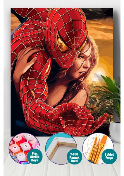 Örümcek Adamın Aşkı Sayılarla Boyama Seti