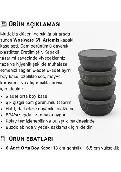 Artemis 6 ' Lı Kapaklı Kase Seti indirimleri