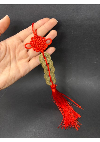 Şans ve Fengshui Para Mıknatısı