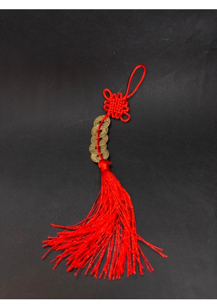 Şans ve Fengshui Para Mıknatısı modelleri