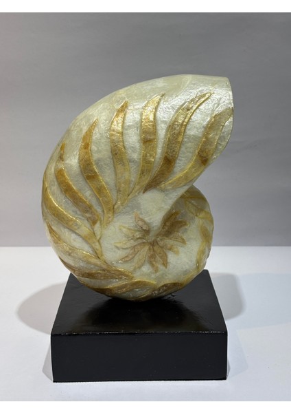 Natilus Koleksiyon Kabuk Stantlı modelleri