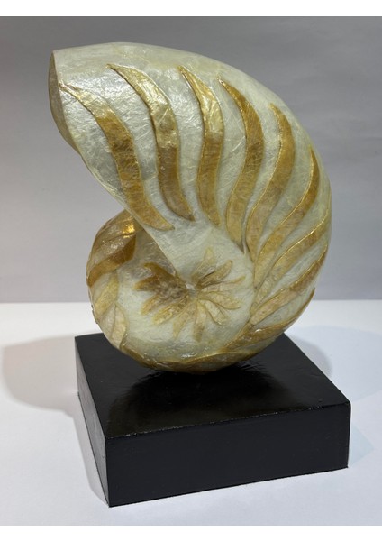 Natilus Koleksiyon Kabuk Stantlı fırsatları