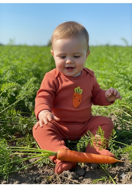 3lü Mevsimlik Çıtçıtlı Body Zıbın 0-3 Ay/3 Yaş Arası Nakışlı %100 Pamuk Unisex Kız Erkek Bebek&çocuk fiyatları