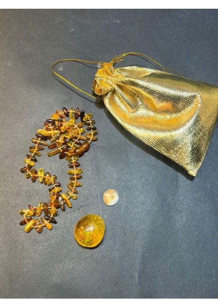 Sağlık Doğaltaş Kesesi fiyatları