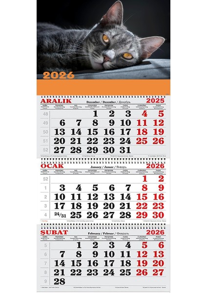 2026 Yılı Gemici Takvimi-Kara Kedi