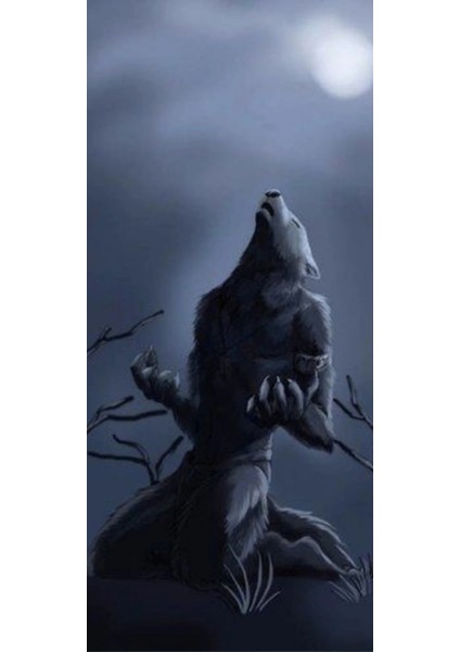 Kurt Kapı Direk Kaplama Folyosu Baskılı Sticker Sağ-Sol 2 Adet 22*50 cm