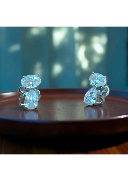 925 Ayar Gümüş Taşlı Kedili Takı Seti (Yüzük, Küpe, Kolye Ucu) fiyatları