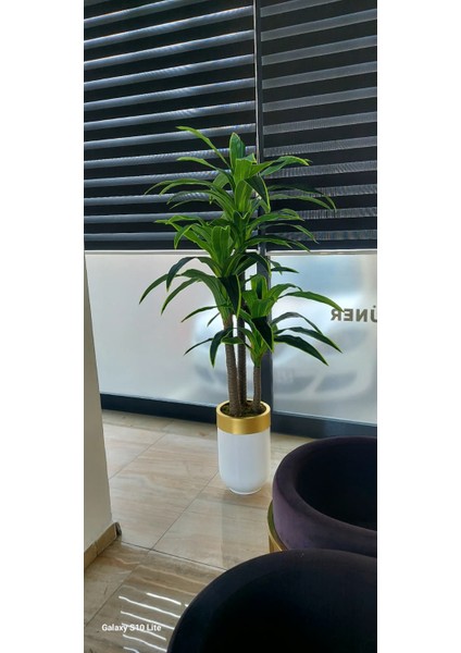 Beyaz Gold Darbuka 3 Gövdeli Yuka -180 cm