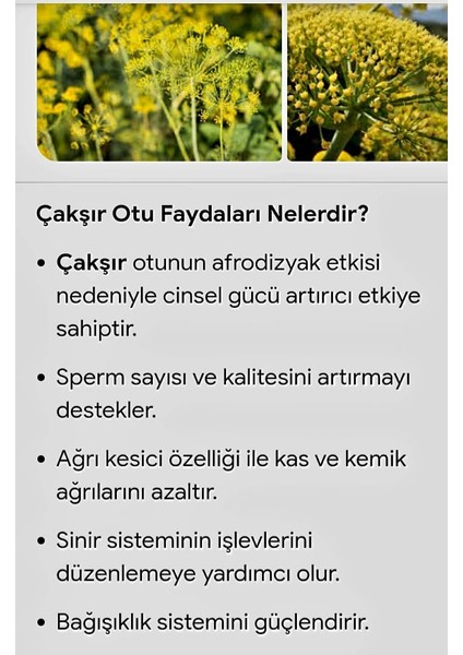 Mirabelle Çakşır Kökü Suyu modelleri