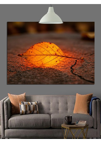 Günbatımında Kuru Yaprak Dekoratif Kanvas - Mdf Ahşap Tablo fırsatları