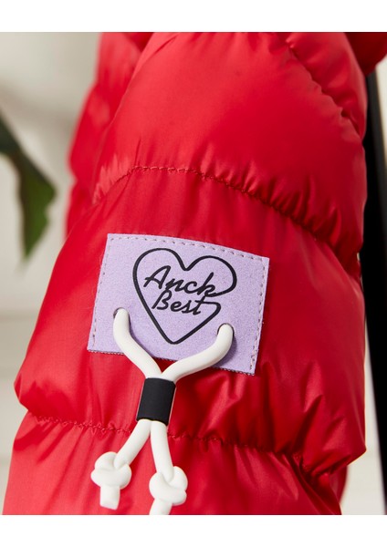 Kız Bebek Kapüşonlu Fermuarlı Şişme Mont 51351 fırsatları