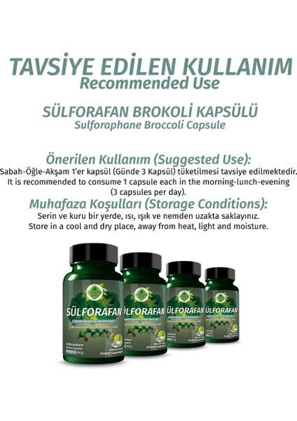 Sülforafan Brokoli Kapsül (SULFORAPHANE BROCCOLİ CAPSULE) fırsatları