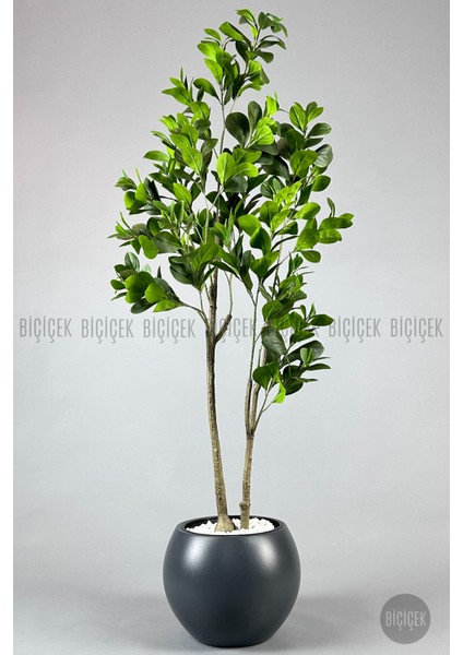 Yapay Manolya Ağacı 150 cm