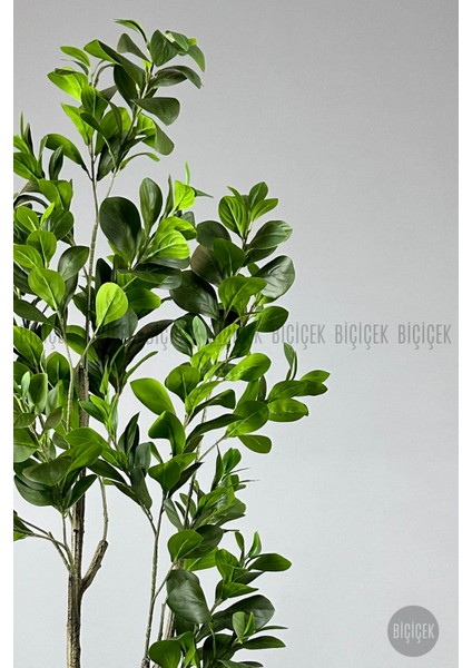 Yapay Manolya Ağacı 150 cm Metal Saksıda