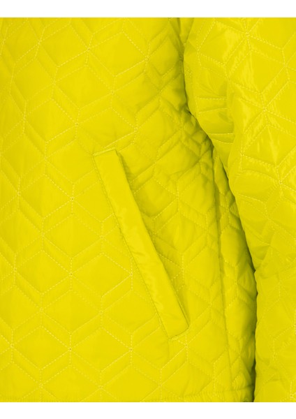 Kadın Yeşil Crop Top Mont 50263118-VR232