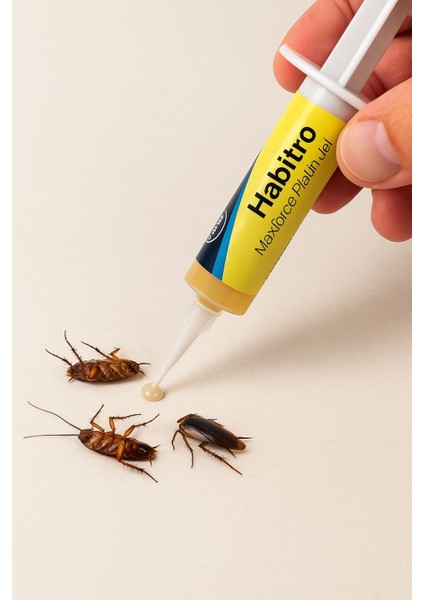 Maxforce Habitro Hamam Böceği Jeli 5 gr 2'li modelleri