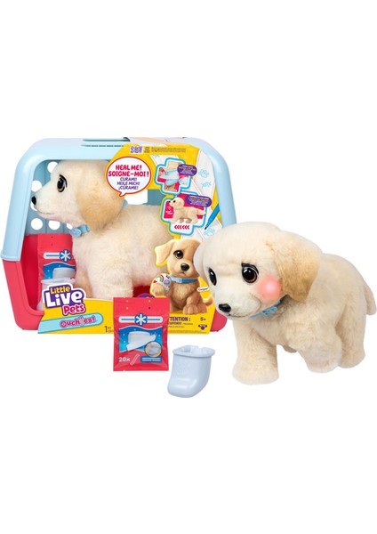 Yavru Köpek Iyileşiyor 26679