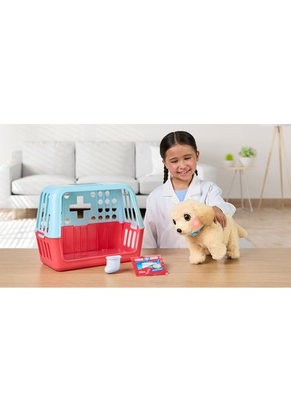 Yavru Köpek Iyileşiyor 26679 modelleri