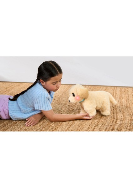 Yavru Köpek Iyileşiyor 26679 indirimleri