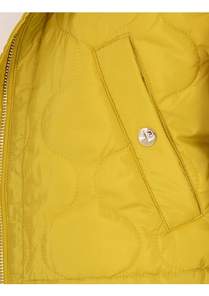 Kadın Yeşil Crop Top Yelek 50263126-VR235