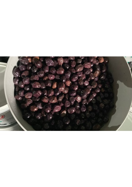 Siyah Zeytin fiyatları