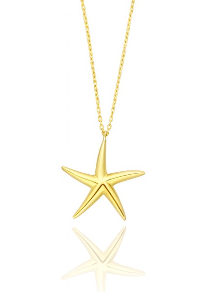 Deniz Yıldızı Kolye B930111 modelleri