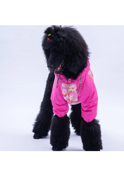 Barcelona Nights Polarlı Su Geçirmez Orta-Büyük Irk Köpek Yağmurluğu fiyatları