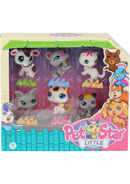 Bfs KZL-3046A3 Pet Star 6'lı Miniş Seti -Kızılkaya Oyuncak modelleri