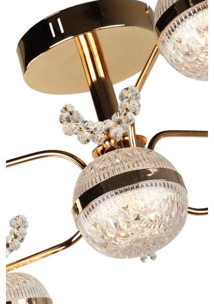 Lord Ledli 6.lı Avize Gold Kaplama fırsatları