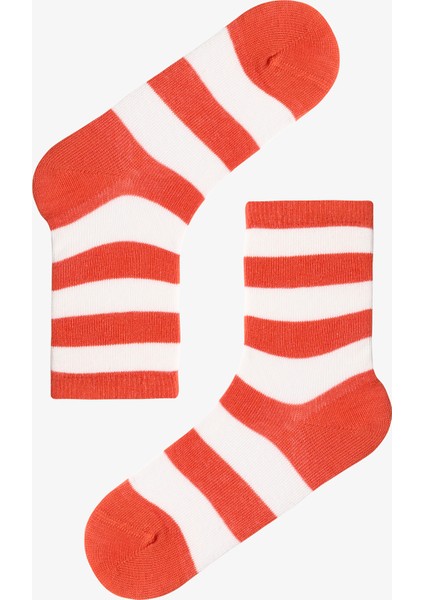 Çok Renkli Erkek Çocuk Relax Stripes 4lü Soket Çorap