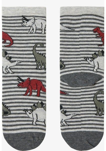 Erkek Çocuk T-Rex Dinozor Desenli 3'lü Soket Çorap