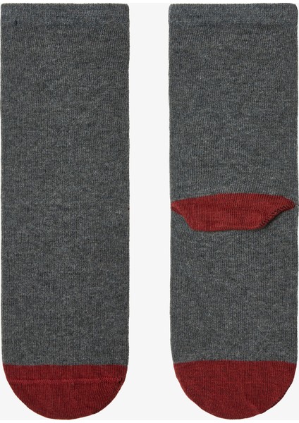 Erkek Çocuk T-Rex Dinozor Desenli 3'lü Soket Çorap