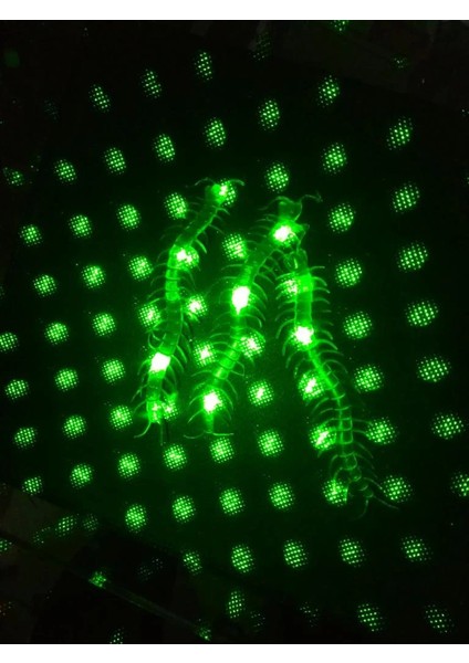 Bfs Nessiworld Şaka Yılan ve Kırkayak Karışık 36 Adet fırsatları