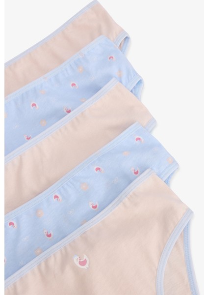 Kız Çocuk Chicken Çiçekli Desenli Pamuklu 5'li Külot