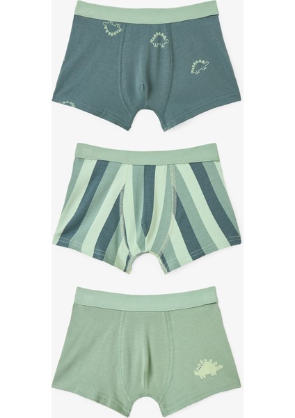 Erkek Çocuk Contour Dino Dinozor Desenli 3'lü Boxer