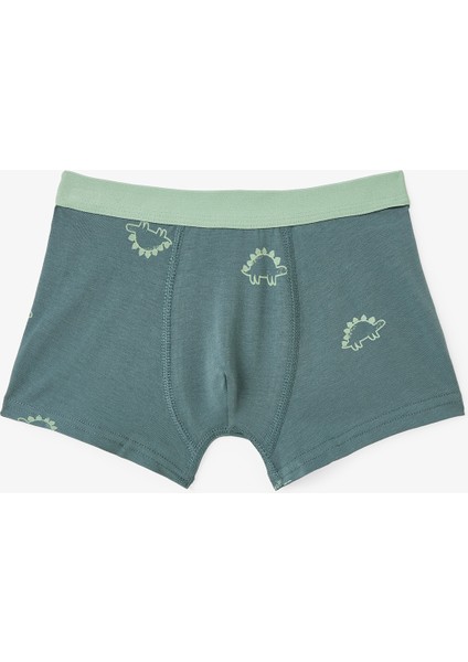 Erkek Çocuk Contour Dino Dinozor Desenli 3'lü Boxer