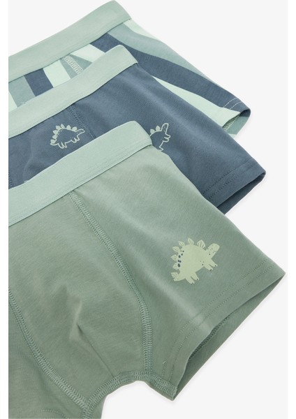 Erkek Çocuk Contour Dino Dinozor Desenli 3'lü Boxer