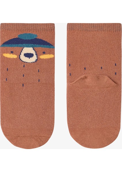 Çok Renkli Erkek Çocuk Stripey Racoon 4lü Soket Çorap