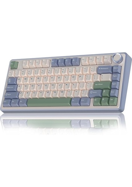 F75 Mekanik Rgb Tkl Reaper Switch Kablosuz Makrolu Hot Swap Klavye Pastel