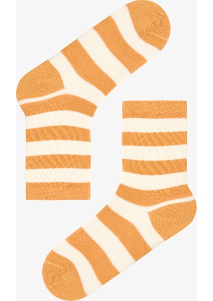 Çok Renkli Erkek Çocuk Bold Stripes 4lü Soket Çorap