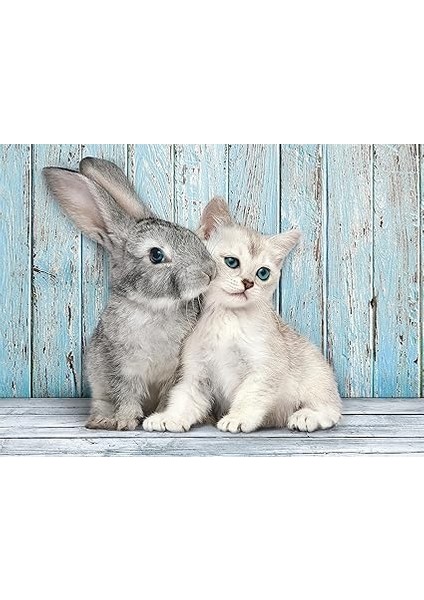 - 500 Parça Hq Collection Yetişkin Puzzle - Cat & Bunny fiyatları