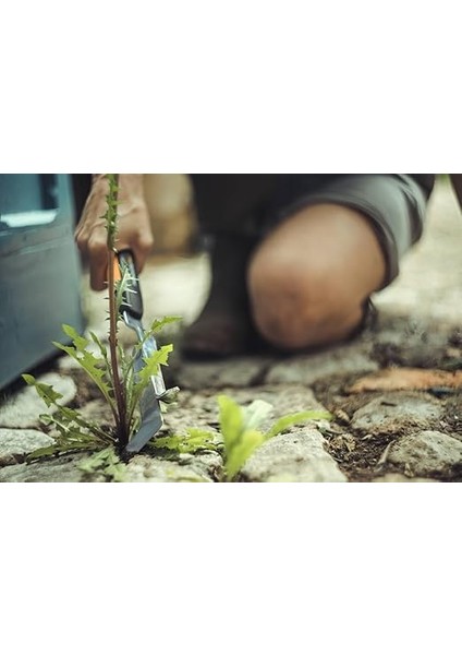 Küçük Ayıklama Bıçağı, Yabani Otları ve Yosunları Temizlemek Için, Siyah/turuncu, 1027045 fırsatları