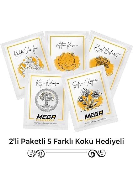 Bear Araba Kokusu modelleri