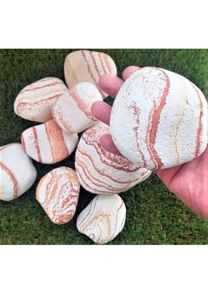 Sarı Renk Dolomit Taş 5 kg 6-10 cm Sarı Çizgili Bahçe Taşı Dekoratif Taş Peyzaj Taşı Saksı Dibi Taşı fiyatları